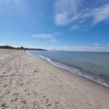 Ferienwohnung Ostseestern Rerik Mit Sauna Εξωτερικό φωτογραφία